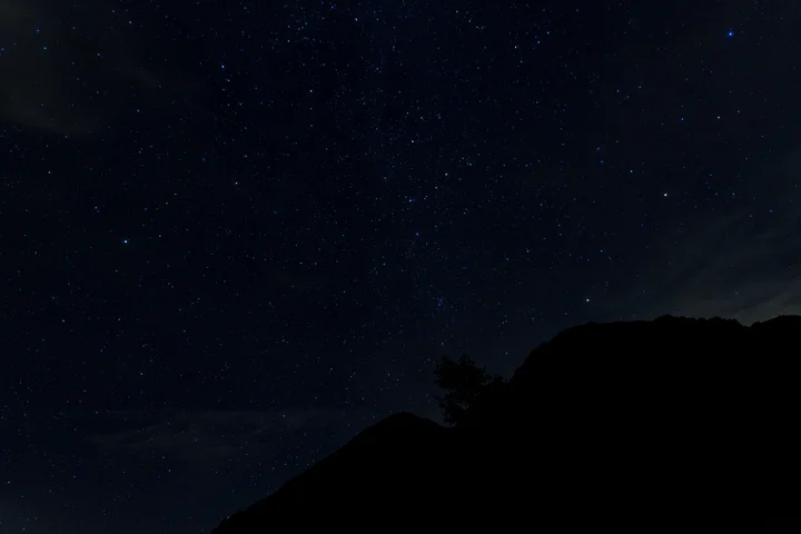 A dense field of stars filling a deep blue night sky above the black silhouette of a ridge and a single tree
